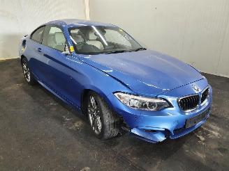 Vrakbiler auto BMW 2-serie  2017/1