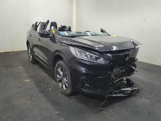 Sloopauto Ford Kuga DFK 2.5 PHEV ST-Line 2021/8