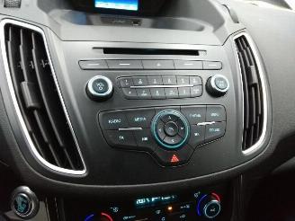 Ford Focus C-Max  picture 22