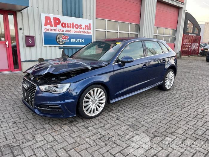 Audi A3 A3 Sportback (8VA/8VF), Hatchback 5-drs, 2012 / 2020 1.4 TFSI 16V e-tron