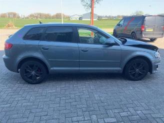 Audi A3 A3 Sportback (8PA), Hatchback 5-drs, 2004 / 2013 1.8 TFSI 16V picture 6