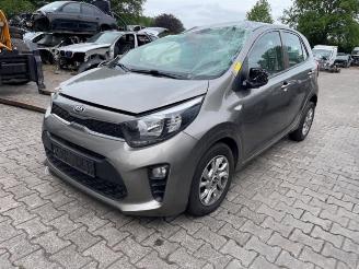 Sloopauto Kia Picanto Picanto (JA), Hatchback, 2017 1.0 12V 2019/2