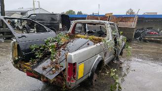 Volkswagen Caddy 14D picture 5