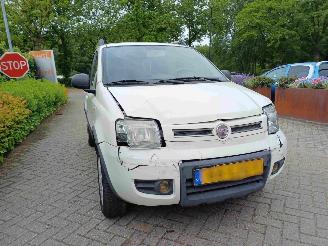 Fiat Panda 1.2 Climbing 4x4 picture 14