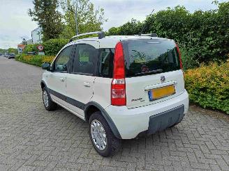 Fiat Panda 1.2 Climbing 4x4 picture 4
