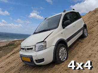 škoda osobní automobily Fiat Panda 1.2 Climbing 4x4 2010/4