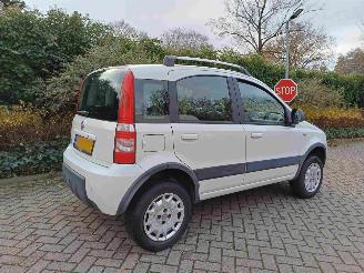 Fiat Panda 1.2 Climbing 4x4 picture 2