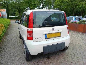 Fiat Panda 1.2 Climbing 4x4 picture 12