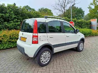 Fiat Panda 1.2 Climbing 4x4 picture 2