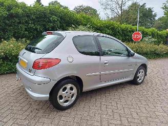 Peugeot 206 1.4 Quiksilver picture 2