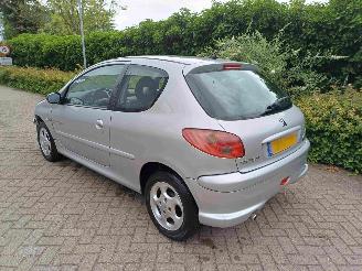 Peugeot 206 1.4 Quiksilver picture 4