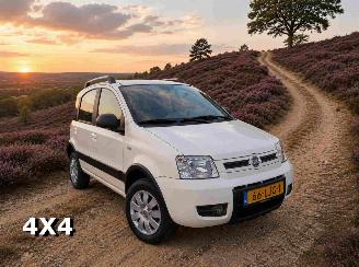 Tweedehands auto Fiat Panda 1.2 Climbing 4x4 2010/4