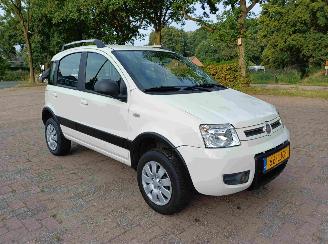 Fiat Panda 1.2 Climbing 4x4 picture 2