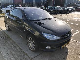 Peugeot 206 Cabrio 2.0i CLIMA 131000 km picture 3