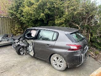 Peugeot 308 1.6 thp picture 2