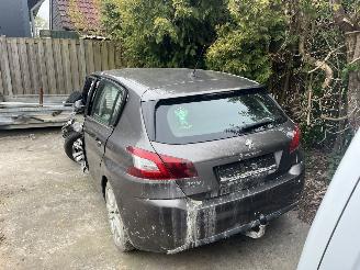 Peugeot 308 1.6 thp picture 4