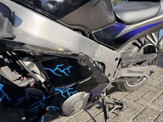 Kawasaki Ninja ZX 6R  picture 9