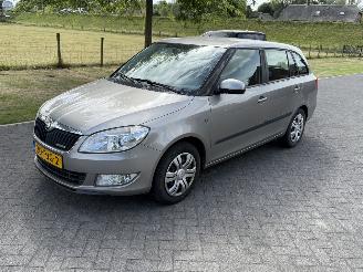  Skoda Fabia 1.2 TDI Greenline 2011/2