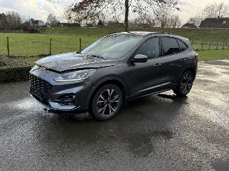 krockskadad bil auto Ford Kuga ST-Line / Automaat / Panorama 2023/3