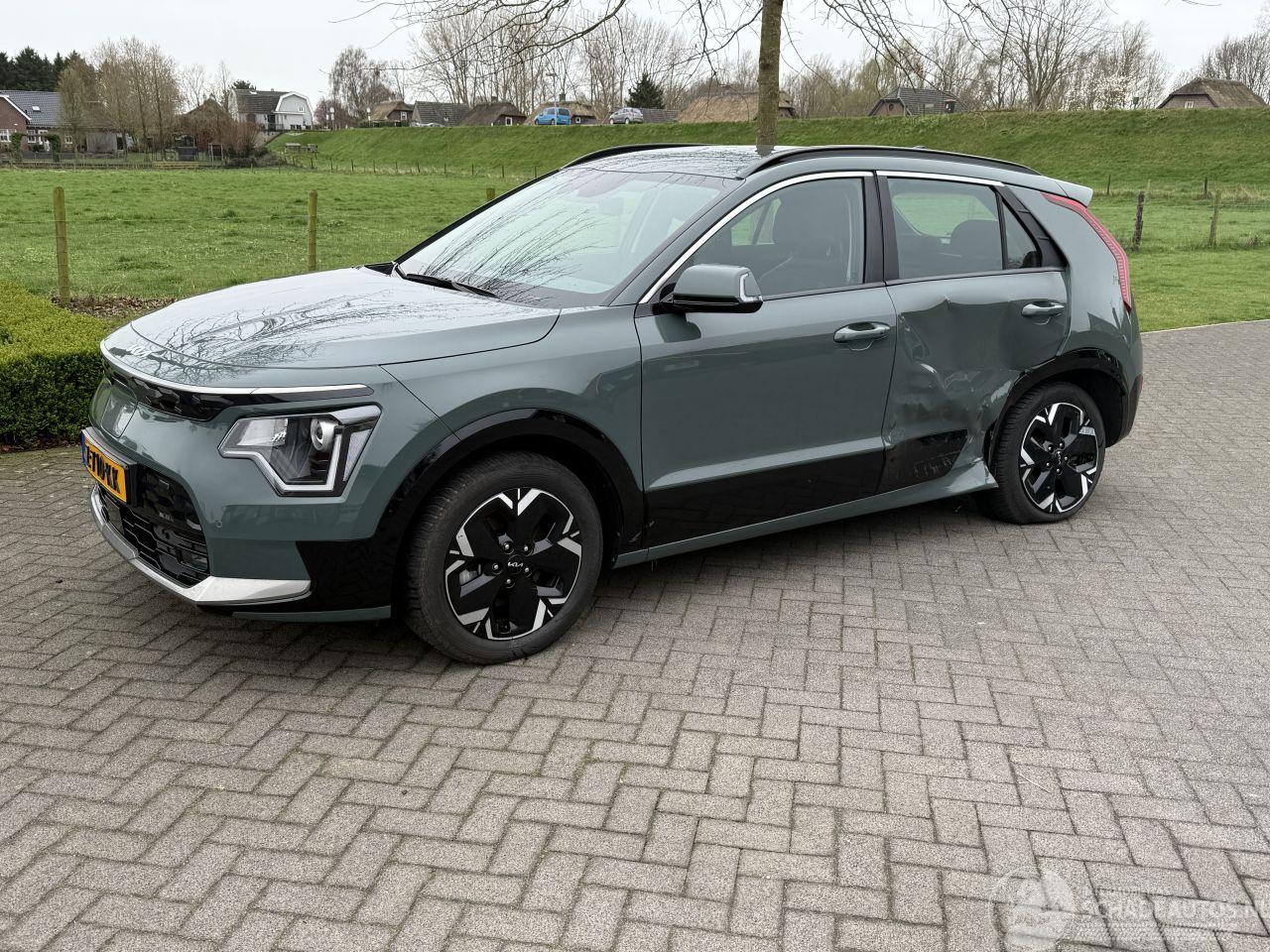Kia Niro EV Dynamicline 64.8 kWh