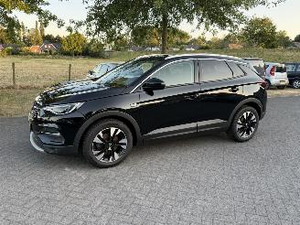 uszkodzony samochody osobowe Opel Grandland X 1.2 Turbo / Automaat / Leer 2020/10