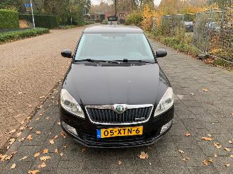 Schadeauto Skoda Fabia 1.2 TDI GREENLINE 2012/9