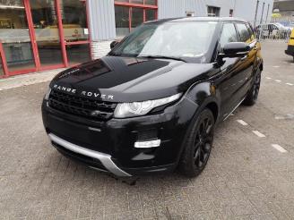 Auto da rottamare Land Rover Range Rover Evoque Range Rover Evoque (LVJ/LVS), SUV, 2011 / 2019 2.2 TD4 16V 2012/11