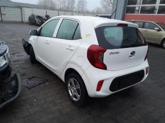 Kia Picanto Picanto (JA), Hatchback, 2017 1.0 12V picture 3