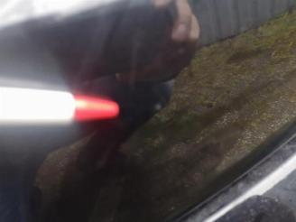 Ford S-Max S-Max (GBW), MPV, 2006 / 2014 2.0 Ecoboost 16V picture 35