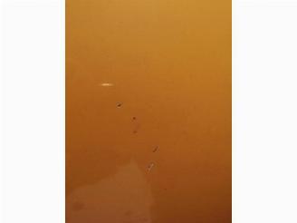 Volkswagen Beetle New Beetle (9C1/9G1), Hatchback 3-drs, 1998 / 2010 2.0 picture 19