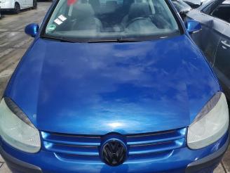Volkswagen Golf Golf V (1K1), Hatchback, 2003 / 2010 1.4 16V picture 32
