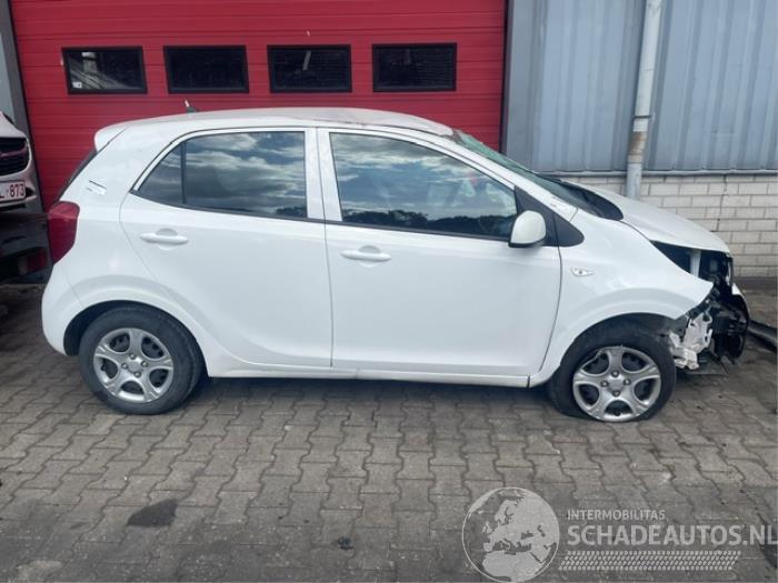 Kia Picanto Picanto (JA), Hatchback, 2017 1.0 12V