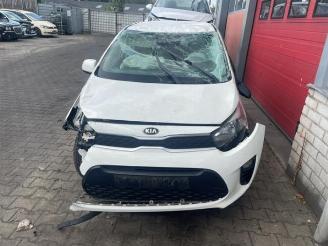Kia Picanto Picanto (JA), Hatchback, 2017 1.0 12V picture 7