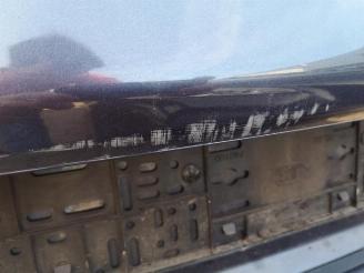 Citroën C4-picasso C4 Picasso (UD/UE/UF), MPV, 2007 / 2013 2.0 HDiF 16V 165 picture 30