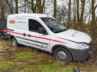 Démontage voiture Opel Combo 1.3 CDTi Base 2009/12