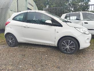 Auto da rottamare Ford Ka 1.2 Titanium 2009/6