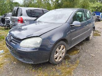 Salvage car Volkswagen Golf 1.4 Trendline 2004/1