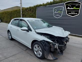 Volkswagen Golf Golf VIII (CD1), Hatchback, 2019 1.5 TSI BlueMotion 16V picture 2