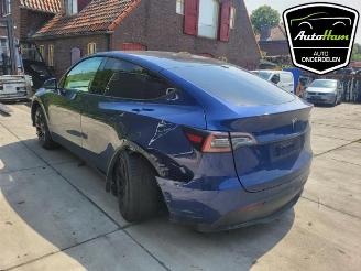 Tesla Model Y Model Y (5YJY), SUV, 2019 Long Range 72kWh picture 9