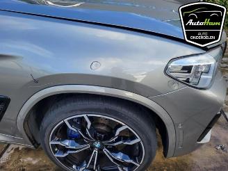 BMW X4 X4M (F98), SUV, 2019 3.0 TwinPower Turbo 24V Competition picture 29