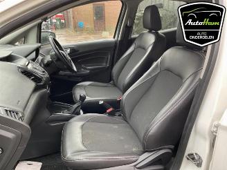 Ford EcoSport EcoSport (JK8), SUV, 2013 1.0 EcoBoost 12V 125 picture 19