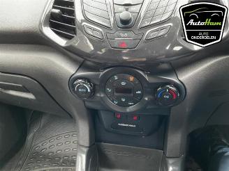 Ford EcoSport  picture 12