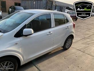 Kia Picanto Picanto (JA), Hatchback, 2017 1.0 DPI 12V picture 3