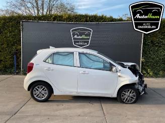 Auto da rottamare Kia Picanto Picanto (JA), Hatchback, 2017 1.0 DPI 12V 2023/6