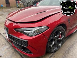 Alfa Romeo Giulia Giulia (952), Sedan, 2015 2.9 Bi-Turbo V6 24V Quadrifoglio Verde picture 10