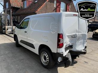 Opel Combo Combo Cargo, Van, 2018 1.5 CDTI 100 picture 6