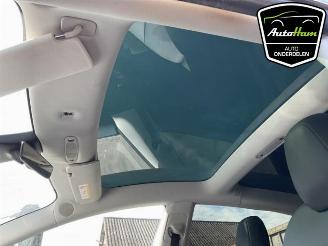 Tesla Model 3 Model 3, Sedan, 2017 Long Range AWD 75 kWh picture 19