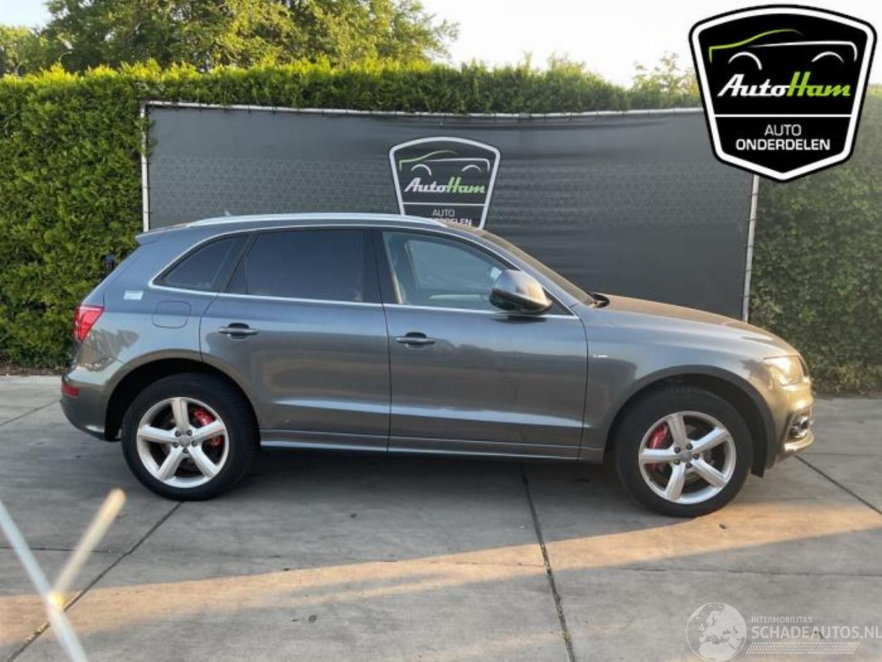 Audi Q5 Q5 (8RB), SUV, 2008 / 2017 2.0 TFSI 16V Quattro