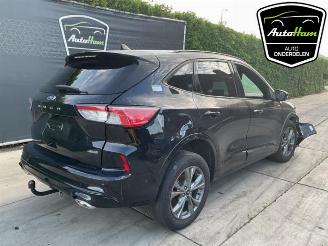 Ford Kuga Kuga III (DFK), SUV, 2019 2.5 PHEV 16V picture 10