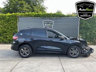 demontáž osobní automobily Ford Kuga Kuga III (DFK), SUV, 2019 2.5 PHEV 16V 2023/6